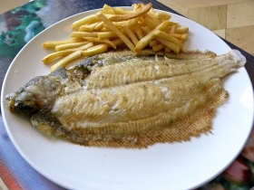 2013-10-30-common-sole