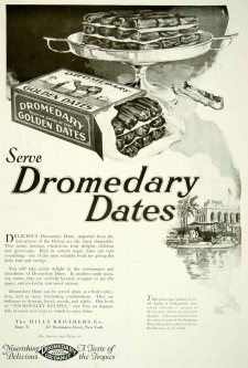 2013-10-4-dromedary-ad