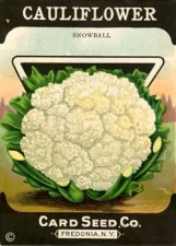 2013-4-25-seed-packet
