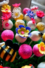 2013-8-24-dori-cake-pops
