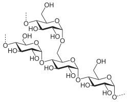2013-9-15-amylopectin
