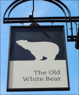 2014-12-5-the-old-white-bear