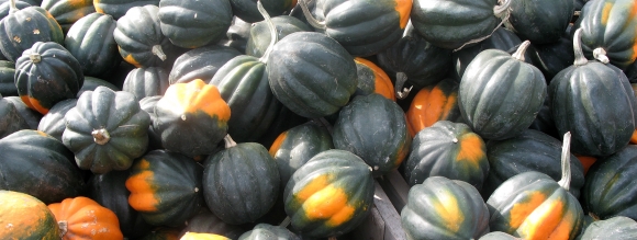 2014-4-23-acorn-squash