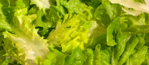 2014-5-15-lettuce