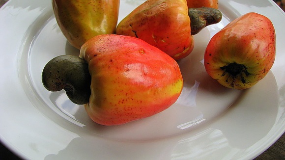 2104-6-27-cashew-apple