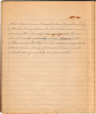 9-brown-soup-stock-p2