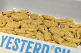 gnocchi-step8