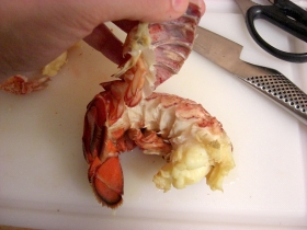 lobster-risotto-stock6