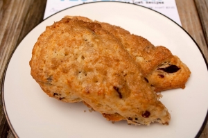 ocscones-zoom
