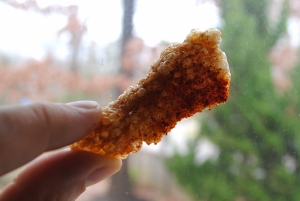 porkrinds_light